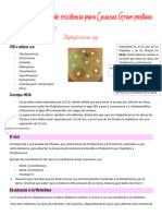 DetecciÃ N Fenotã - Pica de Resistencia para Cocaceas Gram Positivas