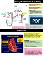 Ahorradores de Potasio