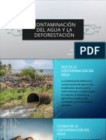 Deforestacion y Contaminacion Del Agua PDF