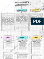 Quimica de Las Hormonas