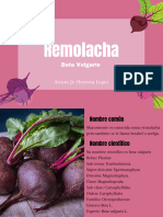 Presentacion Remolacha