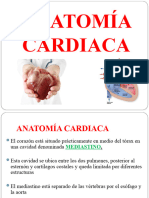 (Clase2) Anatomía Cardiaca