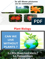 9.1 What Do We Know About Plants 9.2 Photosynthesis