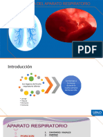 Embriologia Aparato Respiratorio V