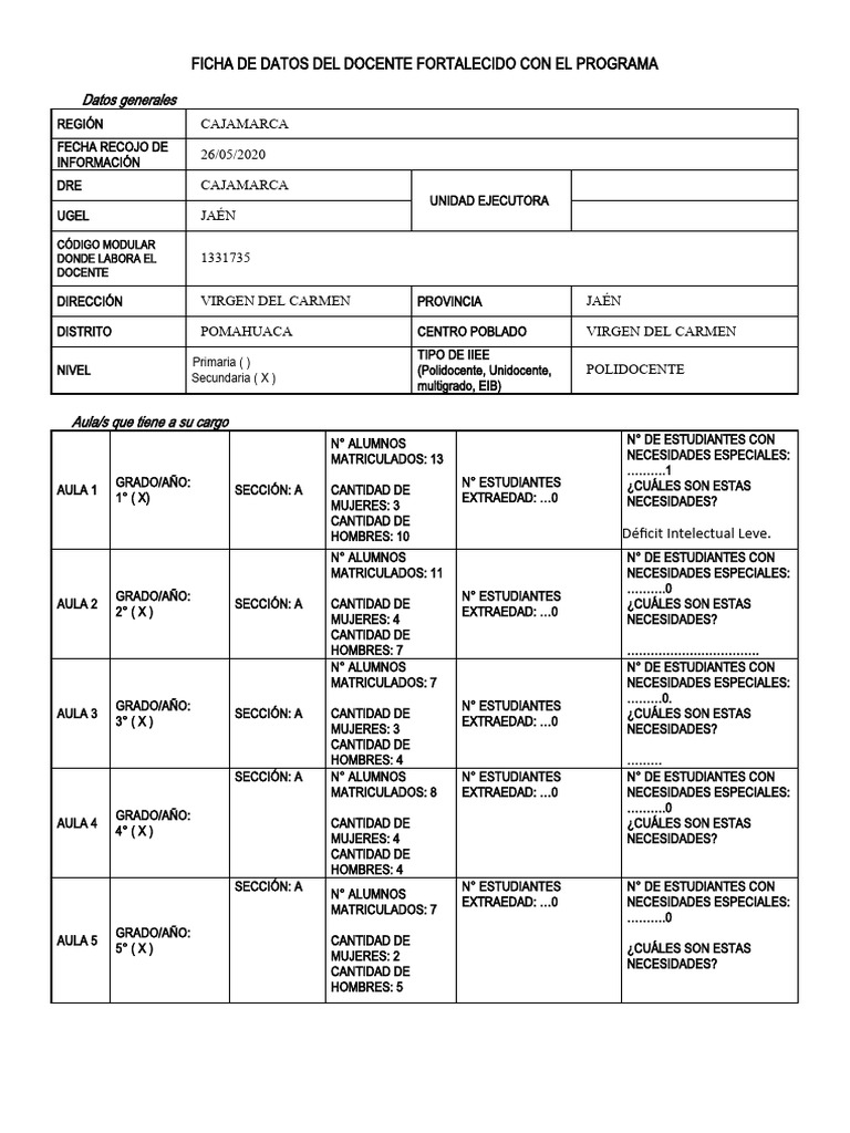 FICHA DE DATOS DEL DOCENTE FORTALECIDO - Karin Valdivia | PDF ...