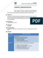 Metrados y Presupuestos Segun Capeco PDF