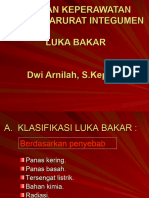 SN Luka Bakar Dwi