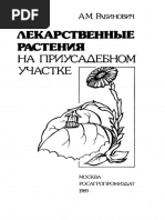 Чудо-лекарь с подоконника: эффективная терапия растениями