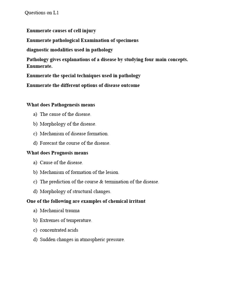 L1 | PDF