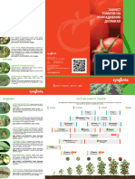 Zashchyta Tomaty - 2016 - A4 Corr6