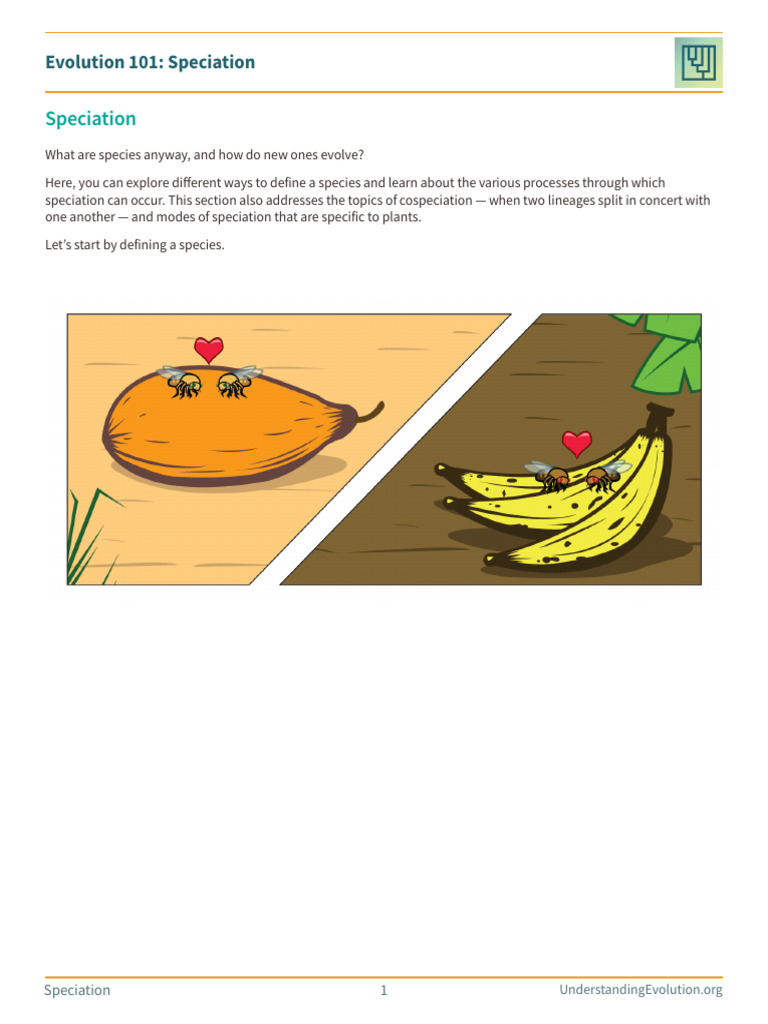 Evo101 05 Speciation UE | PDF | Evolution | Species
