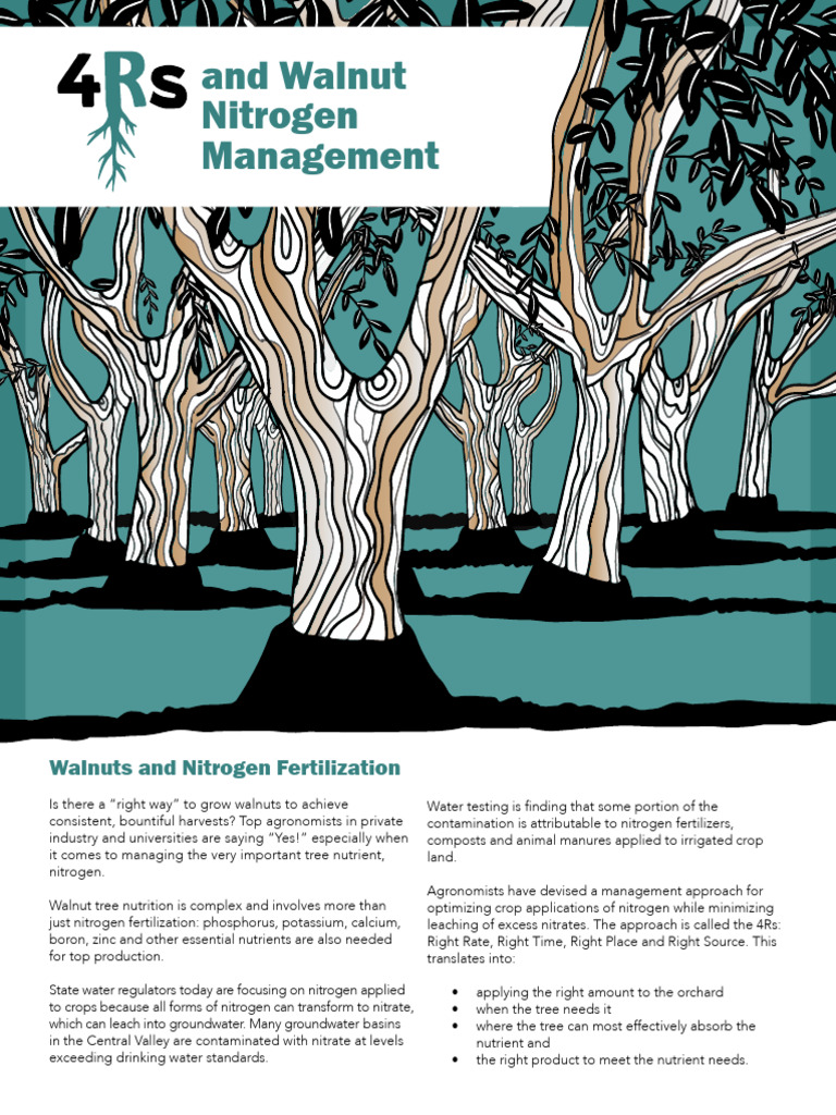 Walnuts PDF Fertilizer Soil