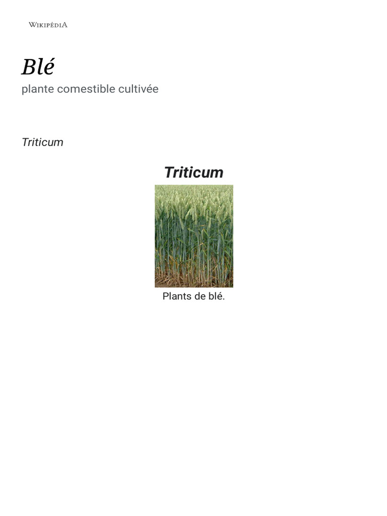 Types et origine du blé | PDF | Blé | Céréale