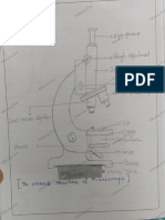 Compound Microscope