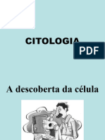 1-Ano-Citologia-1 em Const (Salvo Automaticamente)