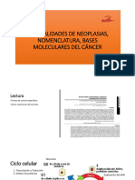 Generalidades de Neoplasias, Nomenclatura, Bases Moleculares Del Cáncer