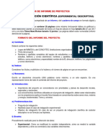 Formatos de Informe de Proyectos