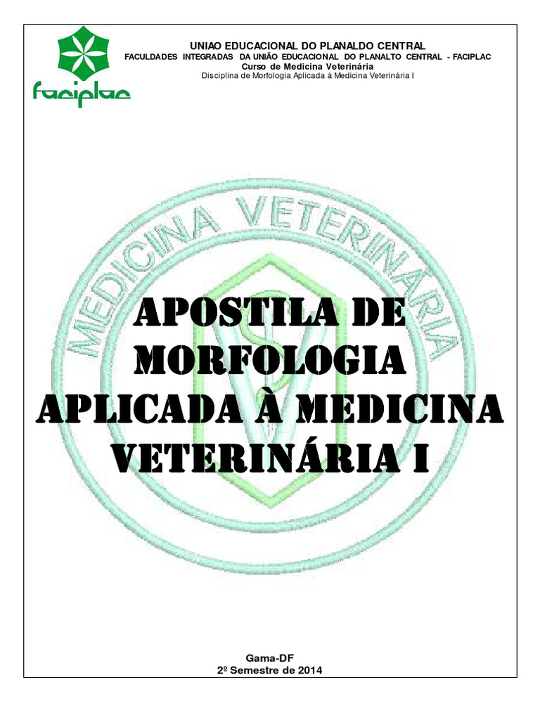 ANATOM A DESCRIPTIVA VETERINARIA PDF visual data 6
