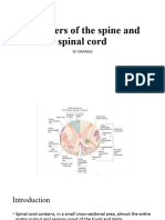 Spinal Cord Disorders