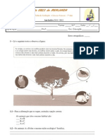 1t1p 8 2011-2012 ( Ecossistemas, Factores abióticos)