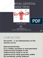 Daring Aidil Akbar Internal Genital Infection