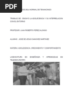 Ensayo El Adolecente y Su Entorno