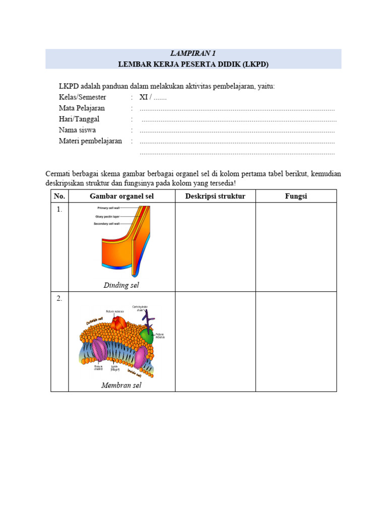 Lampiran 1 LKPD SEL | PDF | Kesehatan Holistik | Sains & Matematika