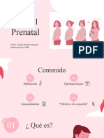 Control Prenatal