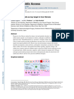 Hepatic Stellate Cells As Key Target in Liver Fibrosis