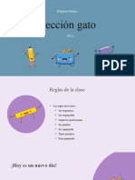 9 Gato