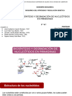 Bioquímica de Nitrógeno, Purinas y Pirimidinas