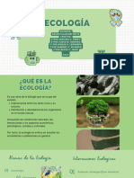 Presentación Sostenible Ecología Ilustrado Verde