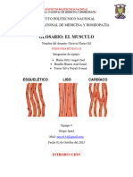 Glosario Musculo