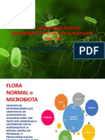 Semana 2 T. MICROBIOTA e INMUNIDAD