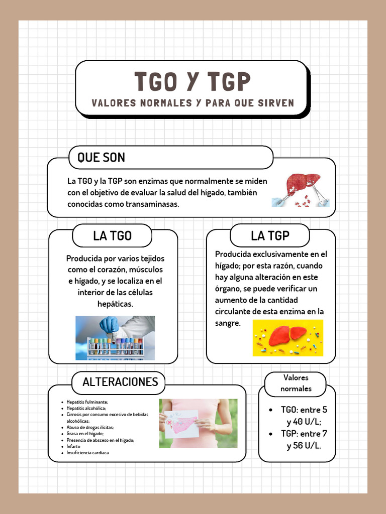 Valores Normales de TGO y TGP | PDF | Salud y bienestar