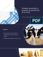 Pruebas Sensoriales y de Plataforma de La Leche