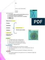 Resumen 2 Biología