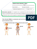 Prueba Sumativa Ciencias Naturales 2 1