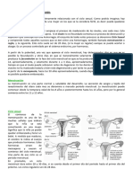 Actividad Semana 24 - 28