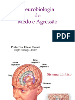 Neurobiologia do Medo e Agressão_2019