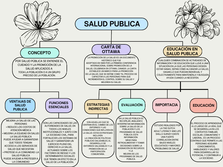 Mapa Conceptual de Salud Pública | PDF | Salud pública | Promoción de ...