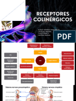 Receptores Colinergicos MGCNO -Medicina Turma D23
