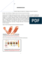 Physio1an31 13bioenergetique