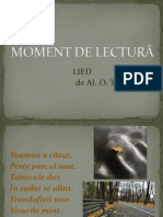 Moment de Lectură 7