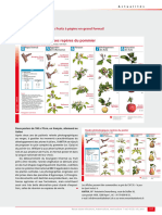 Stades Phénologiques Repères Du Pommier