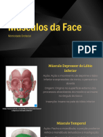 Músculos Da Face