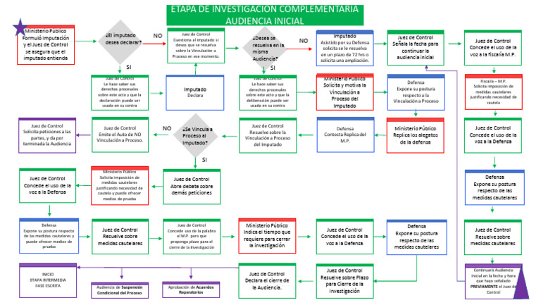 Etapas de la Audiencia Inicial Penal | PDF | Mandato | Justicia