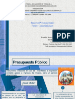 Diapositivas Proceso Presupuestario