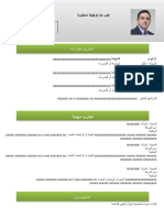 24 CV Template Attractive Green