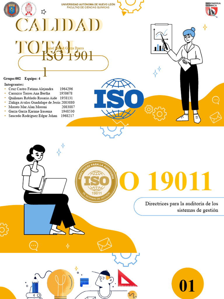 Directrices ISO 19011 para Auditorías | PDF | Auditoría | Business